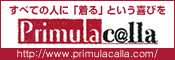 Primulacalla �v�������J���[�@��Q�ҁi�Ԉ֎q�j�p�I�[�_�[���C�h�i�J�X�^�}�C�Y�j�X���b�N�X�i�p���c�E�Y�{���j